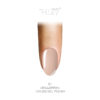 Vernis Gel 01 ballerina  Ritzy Nails