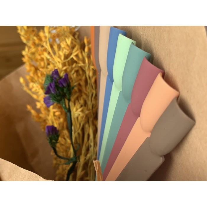 collection Aesthetic